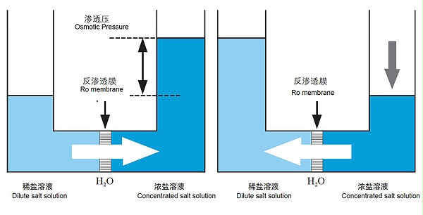 反渗透原理图